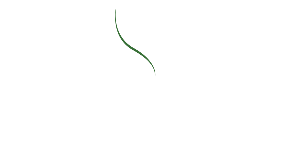 RFC is a global leader in premium frozen vegetables and fruits